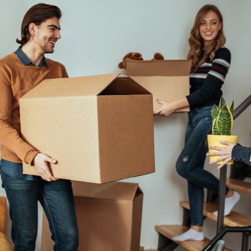 move in