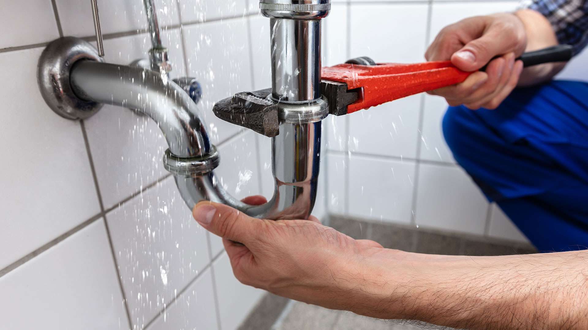 1551132948237_plumbdl1