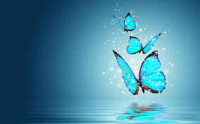 images (2)
