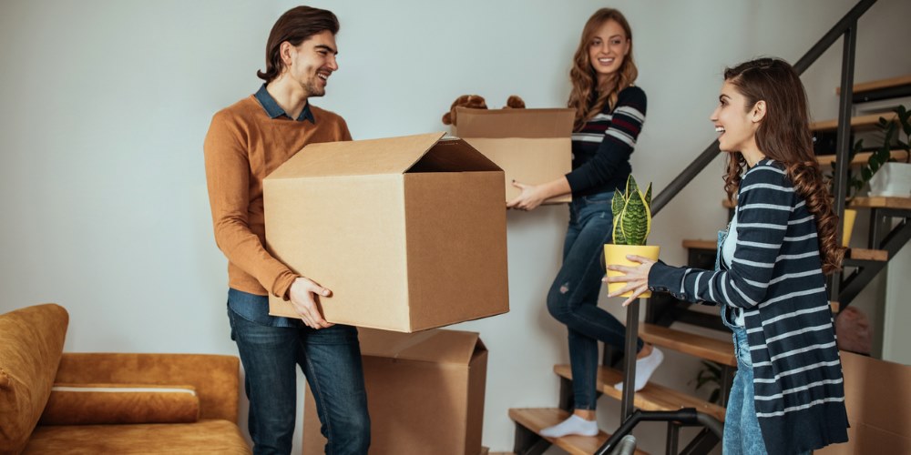 move in